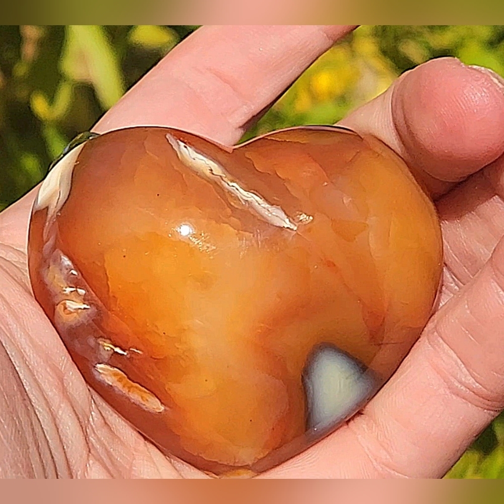 Vibrant Orca Carnelian Puffy Heart Carving